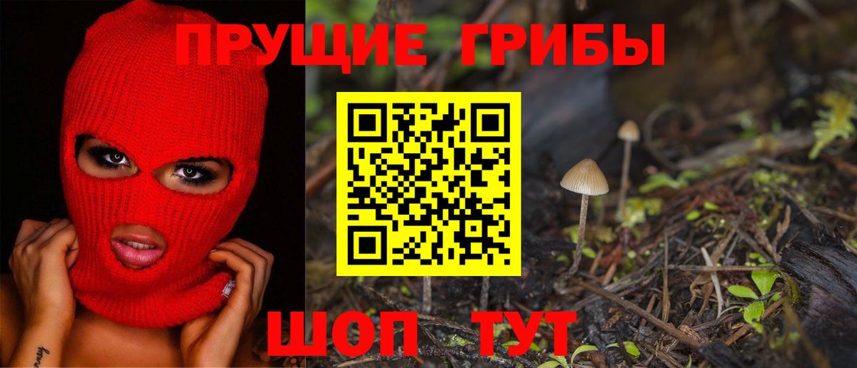 Галлюциногенные грибы Psilocybine cubensis Якутск
